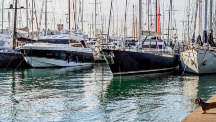 Network Yacht Brokers Mallorca